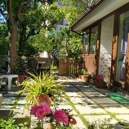 Villino L'Aranceto Sorrentino Bed & Breakfast เมตา ภายนอก รูปภาพ