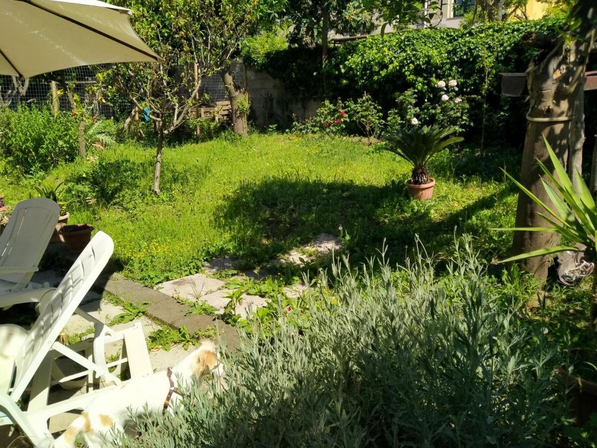 Villino L'Aranceto Sorrentino Bed & Breakfast เมตา ภายนอก รูปภาพ