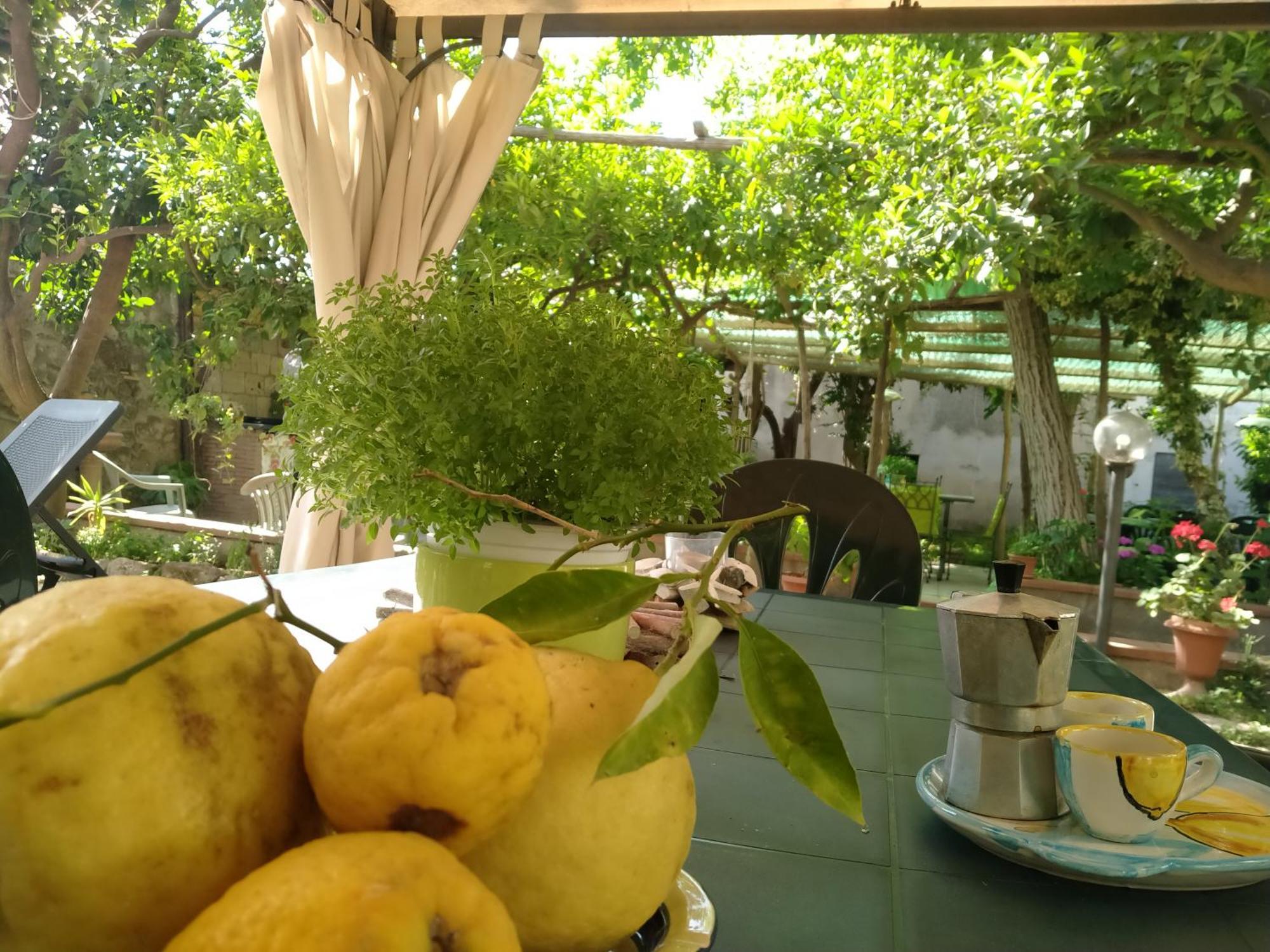 Villino L'Aranceto Sorrentino Bed & Breakfast เมตา ภายนอก รูปภาพ
