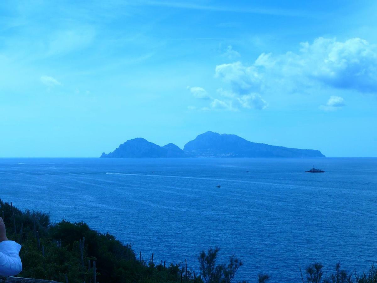 Villino L'Aranceto Sorrentino Bed & Breakfast เมตา ภายนอก รูปภาพ