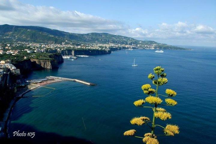 Villino L'Aranceto Sorrentino Bed & Breakfast เมตา ภายนอก รูปภาพ