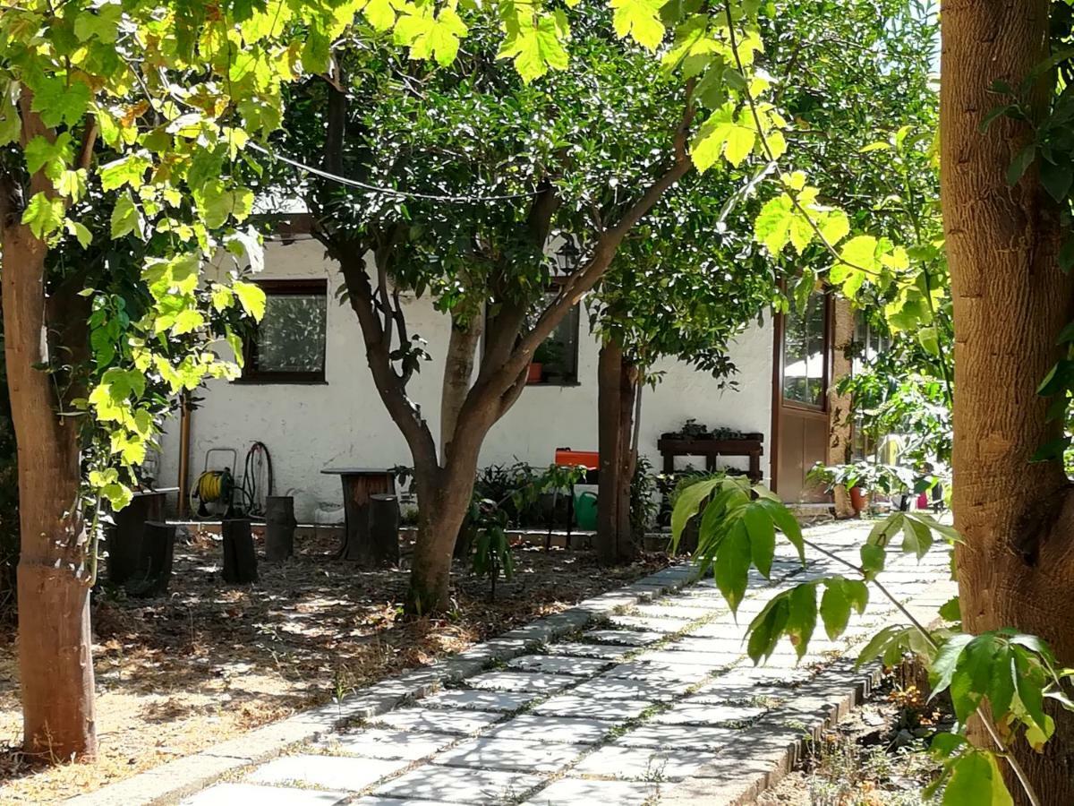 Villino L'Aranceto Sorrentino Bed & Breakfast เมตา ภายนอก รูปภาพ