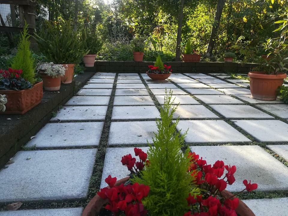 Villino L'Aranceto Sorrentino Bed & Breakfast เมตา ภายนอก รูปภาพ