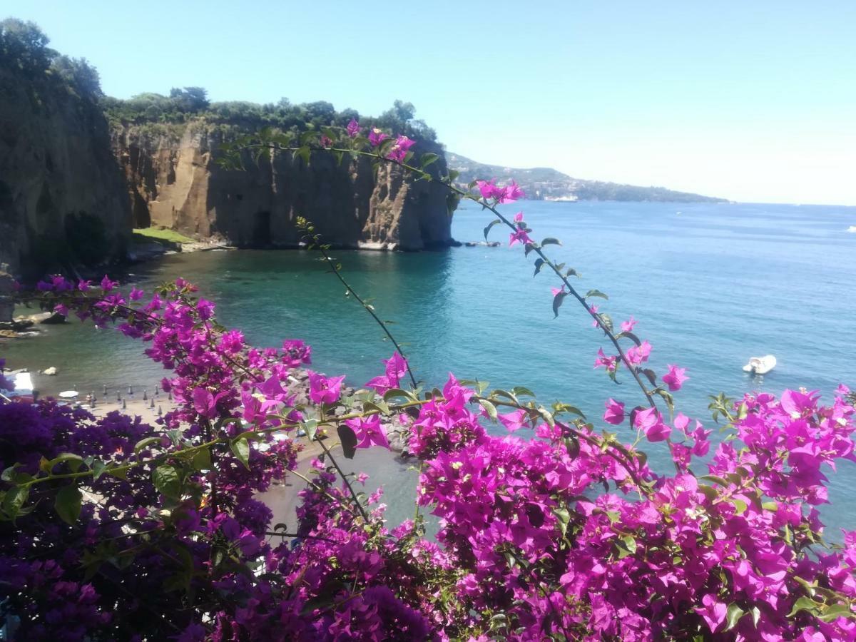 Villino L'Aranceto Sorrentino Bed & Breakfast เมตา ภายนอก รูปภาพ